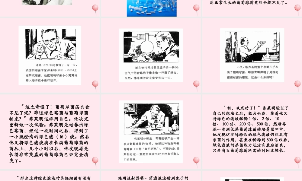 五年级语文下册《青霉素的发现》教学课件（详细解读） 教科版
