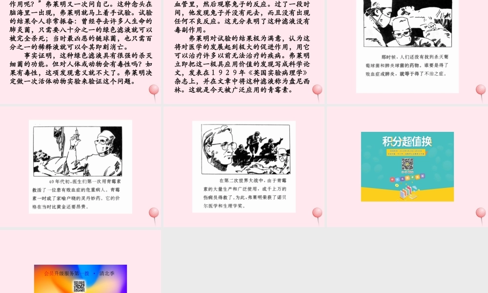 五年级语文下册《青霉素的发现》教学课件（详细解读） 教科版