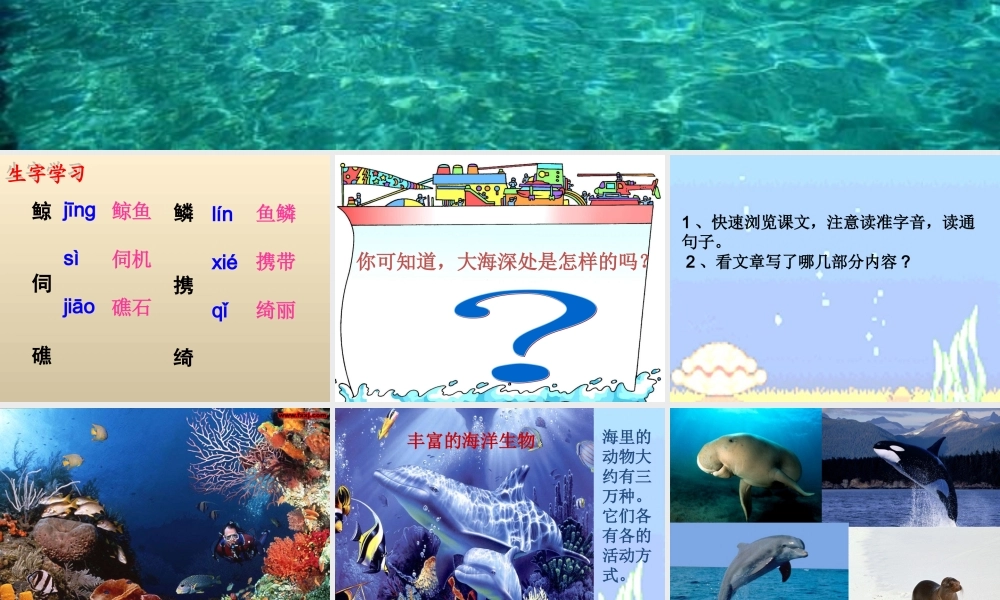 五年级语文下册《探究海底世界》教学课件（简要参考） 教科版