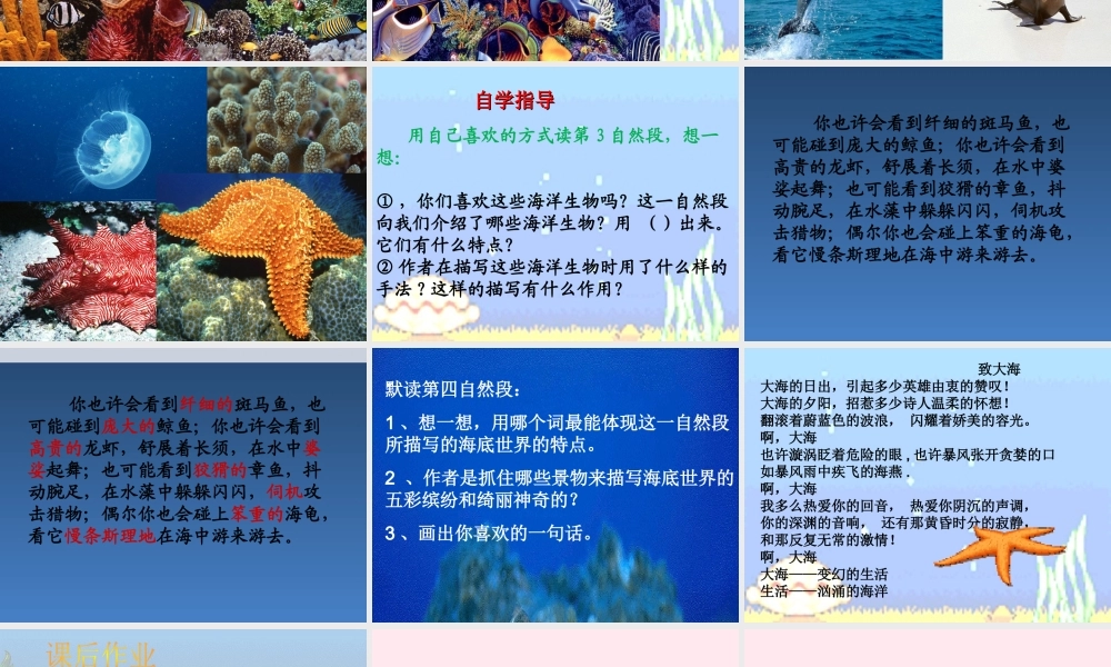 五年级语文下册《探究海底世界》教学课件（简要参考） 教科版