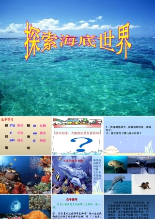 五年级语文下册《探究海底世界》教学课件（简要参考） 教科版