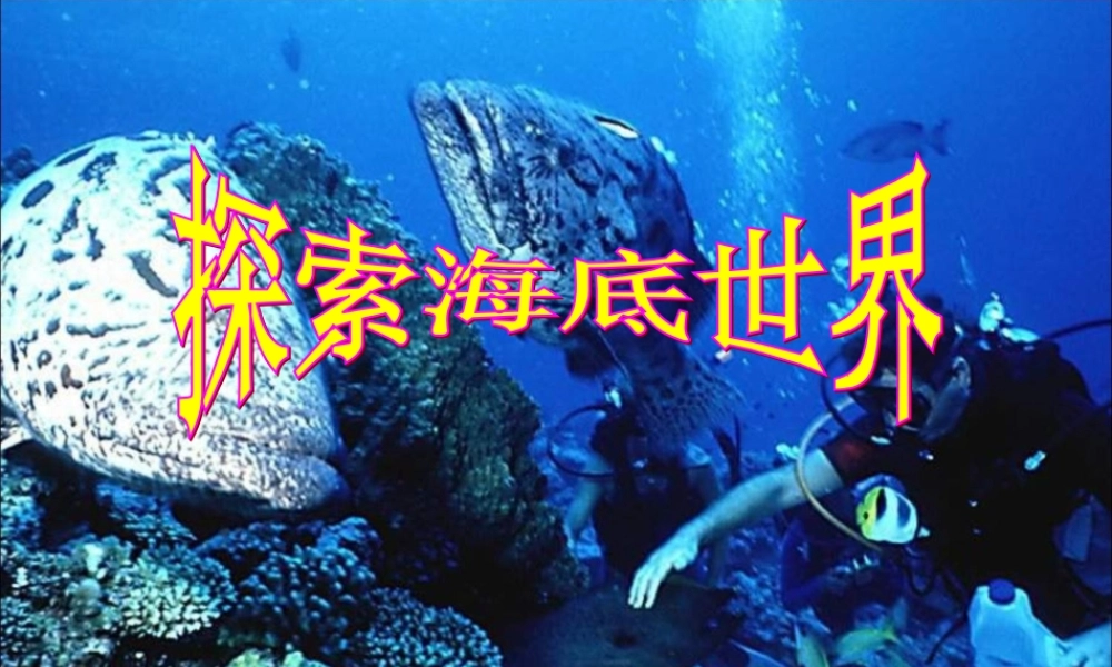 五年级语文下册《探索海底世界》教学课件（详细解读） 教科版