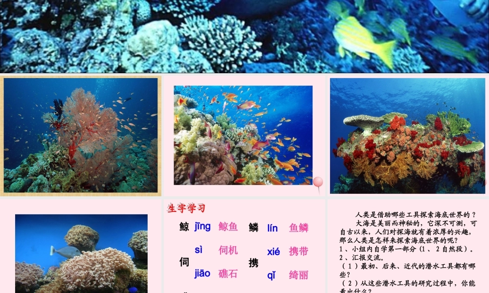 五年级语文下册《探索海底世界》教学课件（详细解读） 教科版