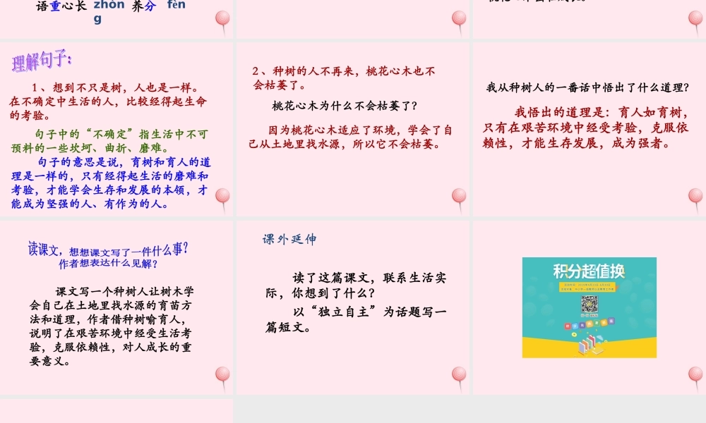 五年级语文下册《桃花心木》教学课件（简要参考） 教科版