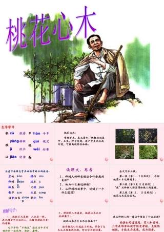 五年级语文下册《桃花心木》教学课件（简要参考） 教科版