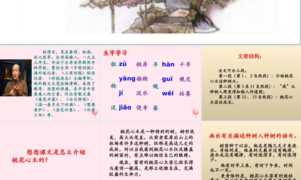 五年级语文下册《桃花心木》教学课件（详细解读） 教科版