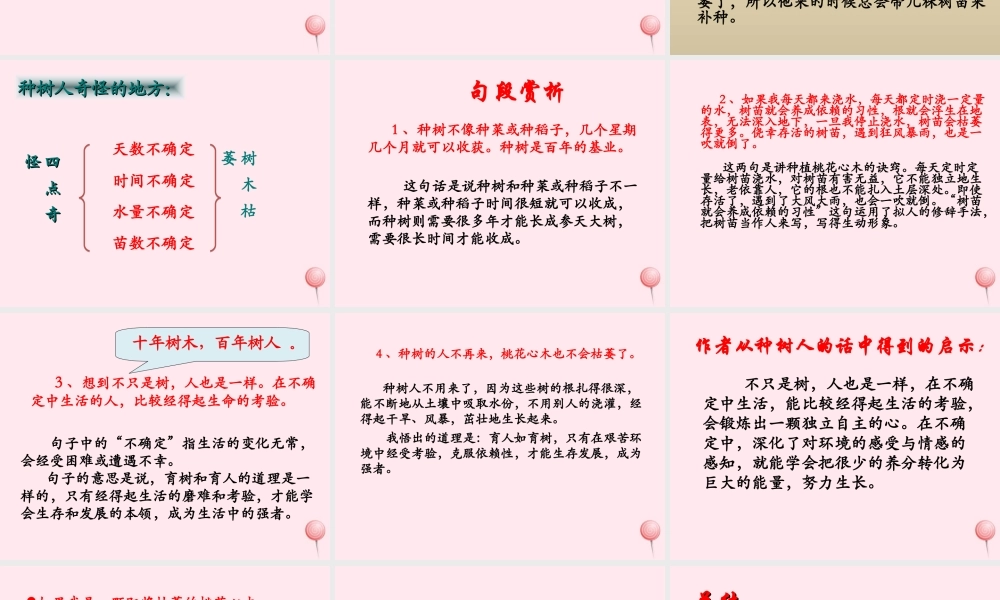 五年级语文下册《桃花心木》教学课件（详细解读） 教科版