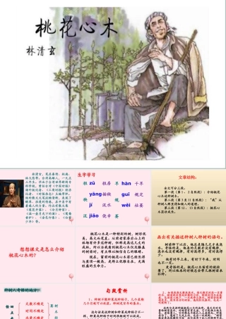 五年级语文下册《桃花心木》教学课件（详细解读） 教科版
