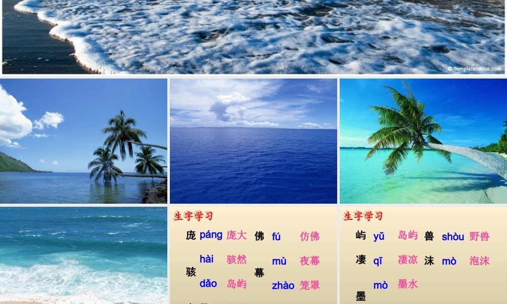 五年级语文下册《我爱大海》教学课件（问题引导） 教科版