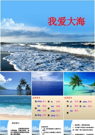 五年级语文下册《我爱大海》教学课件（问题引导） 教科版