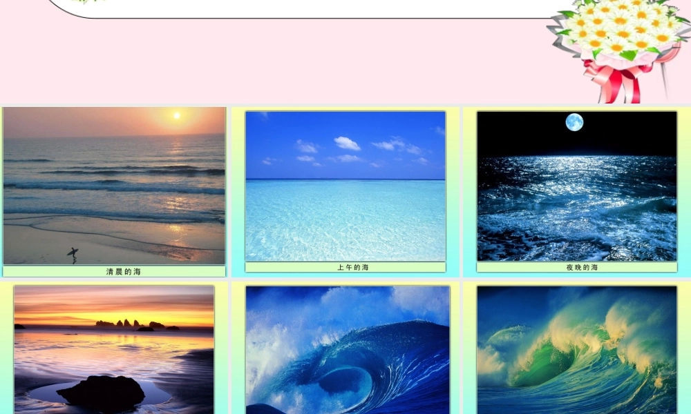 五年级语文下册《我所了解的大海》教学课件 教科版