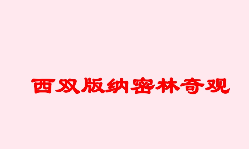 五年级语文下册《西双版纳密林奇观》教学课件 教科版