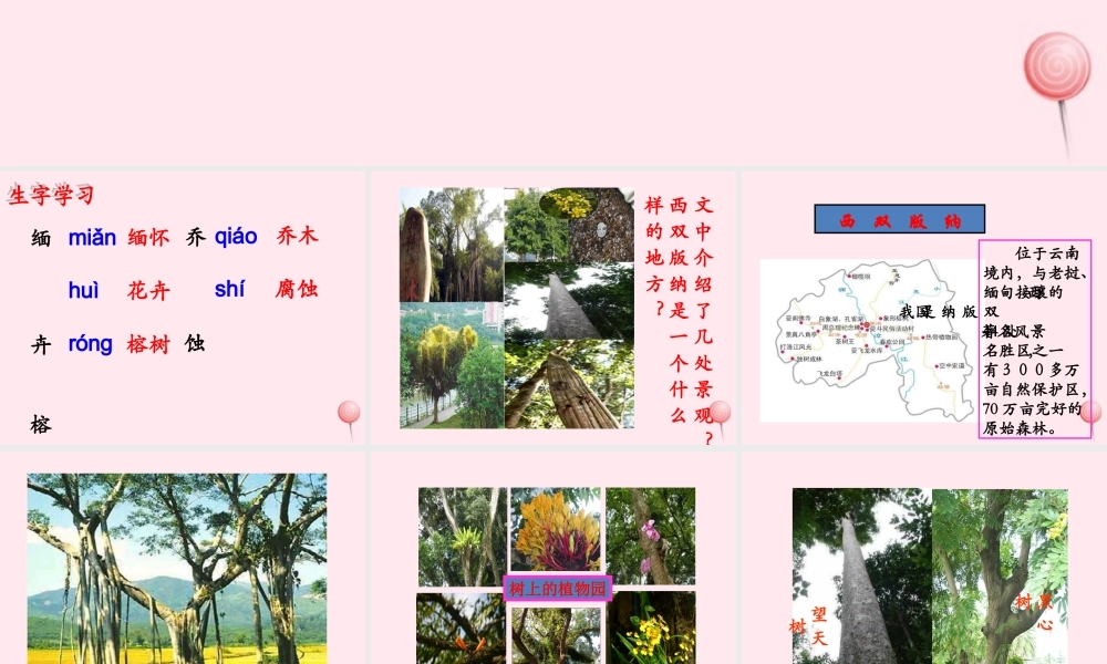 五年级语文下册《西双版纳密林奇观》教学课件 教科版