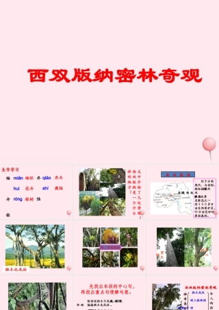 五年级语文下册《西双版纳密林奇观》教学课件 教科版