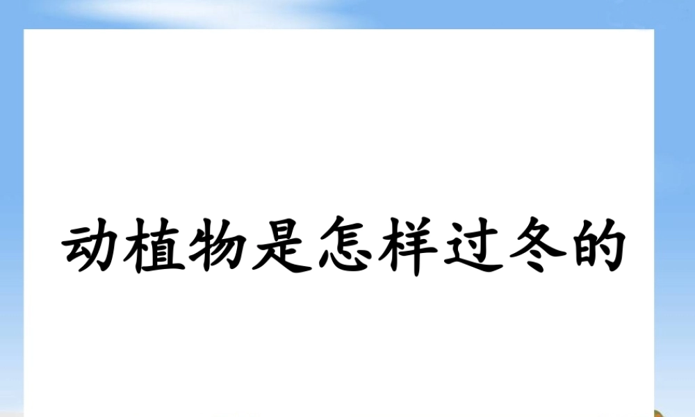 六年级科学上册 第动植物是怎样过冬的课件2 鄂教版-鄂教级上册自然科学课件
