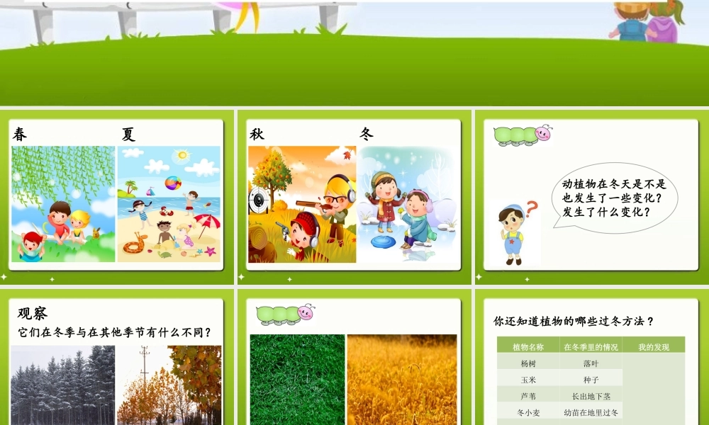 六年级科学上册 第动植物是怎样过冬的课件2 鄂教版-鄂教级上册自然科学课件