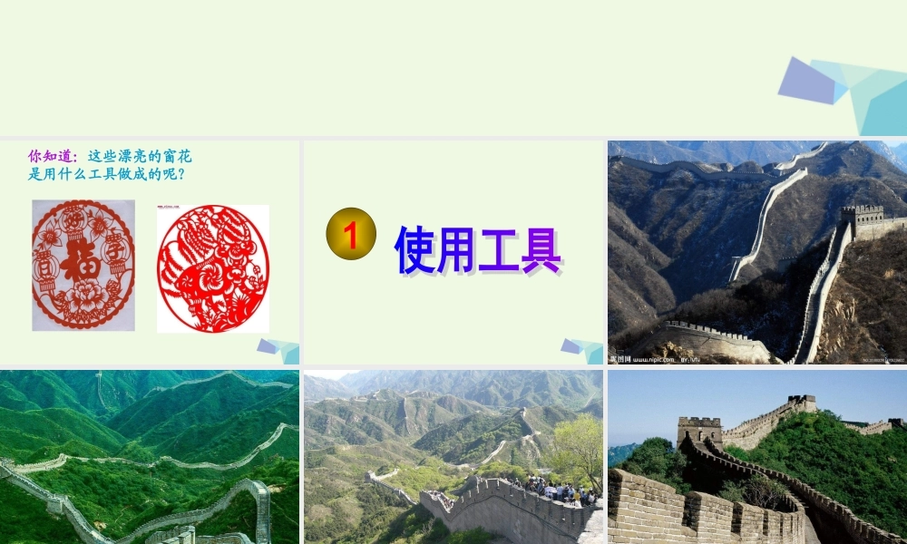 六年级科学上册 1.1 使用工具课件2 教科版-教科版小学六年级上册自然科学课件