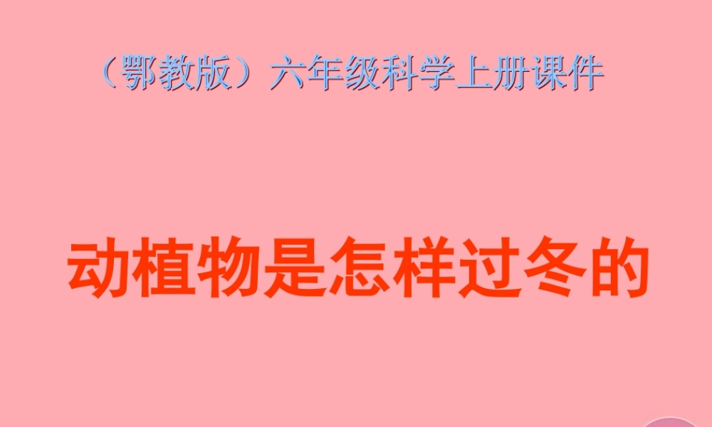 六年级科学上册 第动植物是怎样过冬的课件3 鄂教版-鄂教级上册自然科学课件