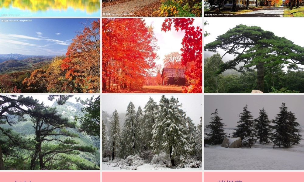 六年级科学上册 第动植物是怎样过冬的课件3 鄂教版-鄂教级上册自然科学课件