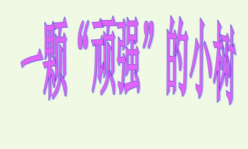 六年级科学上册 1.1 一棵顽强的小树课件2 湘教版-湘教版小学六年级上册自然科学课件