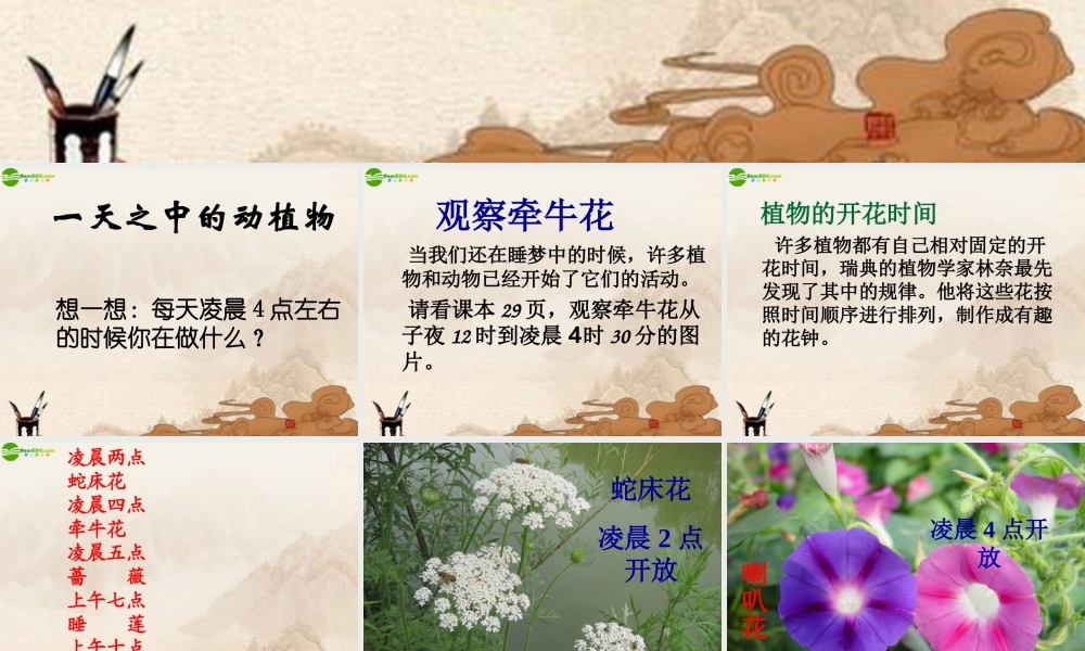 六年级科学上册 第二单元一天中的动植物 (1)课件 鄂教版