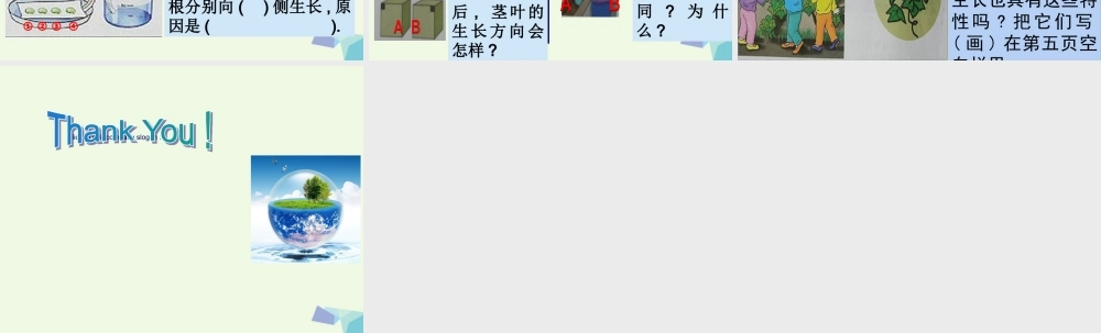 六年级科学上册 1.1 一棵顽强的小树课件3 湘教版-湘教版小学六年级上册自然科学课件