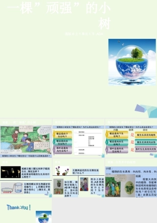 六年级科学上册 1.1 一棵顽强的小树课件3 湘教版-湘教版小学六年级上册自然科学课件