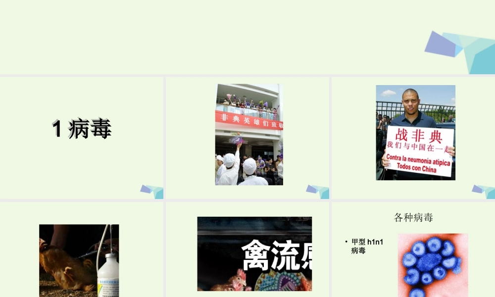 六年级科学上册 病毒课件1 青岛版-青岛版小学六年级上册自然科学课件