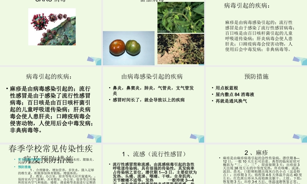 六年级科学上册 病毒课件1 青岛版-青岛版小学六年级上册自然科学课件