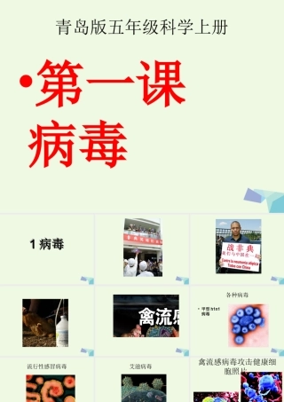 六年级科学上册 病毒课件1 青岛版-青岛版小学六年级上册自然科学课件