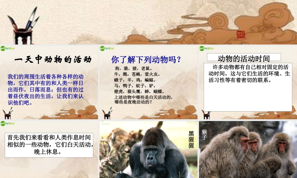 六年级科学上册 第二单元一天中的动植物课件 鄂教版