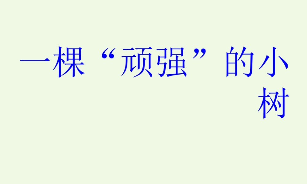 六年级科学上册 1.1 一棵顽强的小树课件4 湘教版-湘教版小学六年级上册自然科学课件