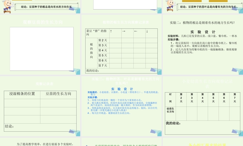 六年级科学上册 1.1 一棵顽强的小树课件4 湘教版-湘教版小学六年级上册自然科学课件