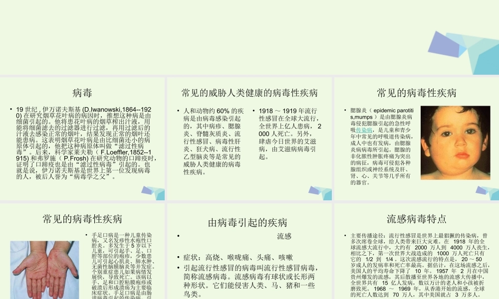 六年级科学上册 病毒课件2 青岛版-青岛版小学六年级上册自然科学课件