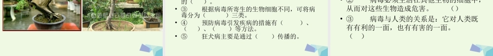 六年级科学上册 病毒课件2 青岛版-青岛版小学六年级上册自然科学课件
