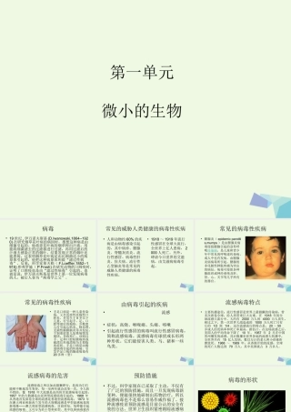 六年级科学上册 病毒课件2 青岛版-青岛版小学六年级上册自然科学课件