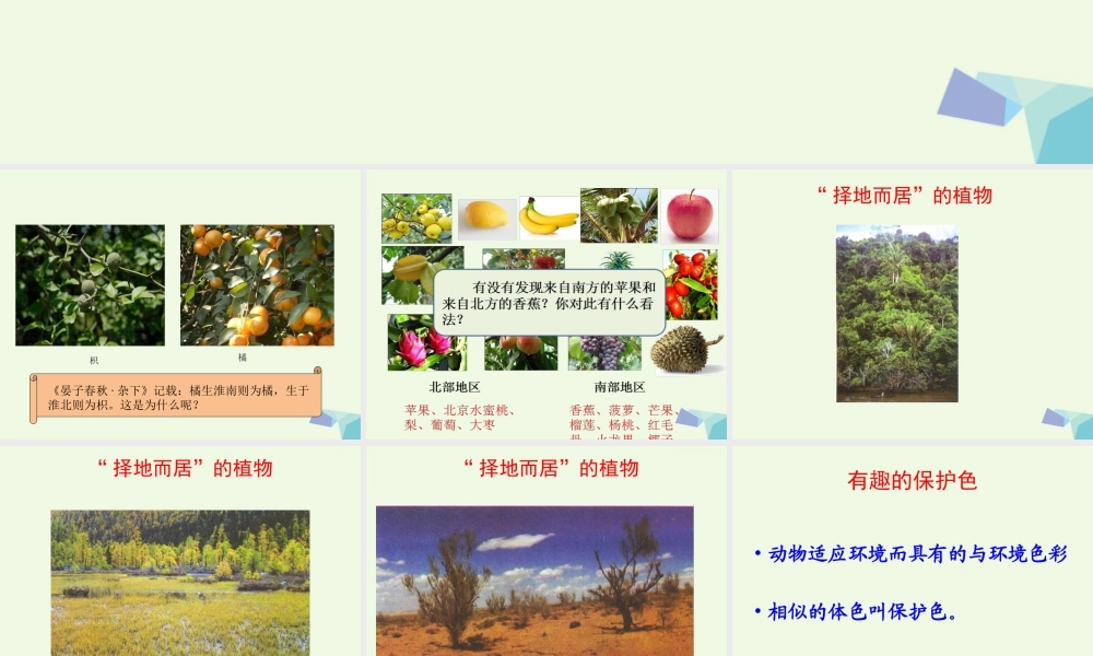 六年级科学上册 1.2 从南橘北枳说起课件1 湘教版-湘教版小学六年级上册自然科学课件