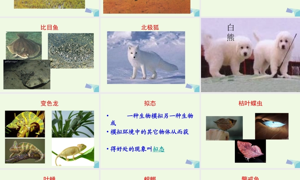 六年级科学上册 1.2 从南橘北枳说起课件1 湘教版-湘教版小学六年级上册自然科学课件