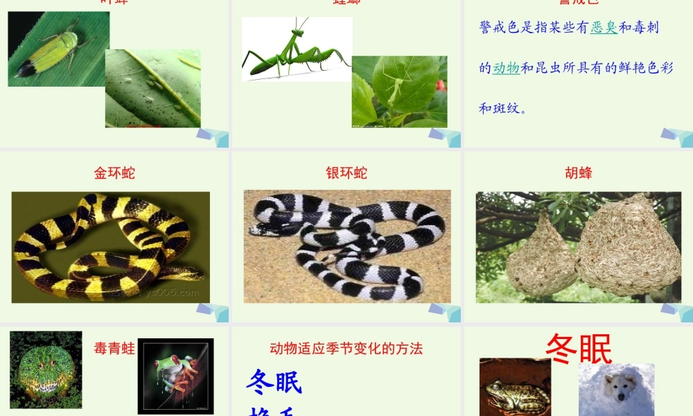 六年级科学上册 1.2 从南橘北枳说起课件1 湘教版-湘教版小学六年级上册自然科学课件