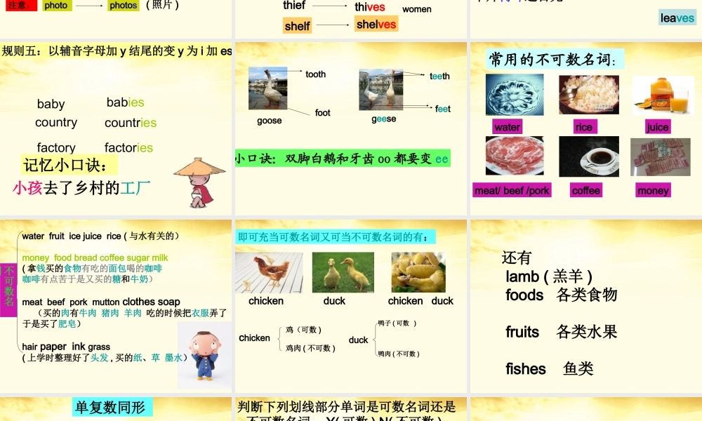 六年级英语下册 期末复习 名词课件 人教PEP