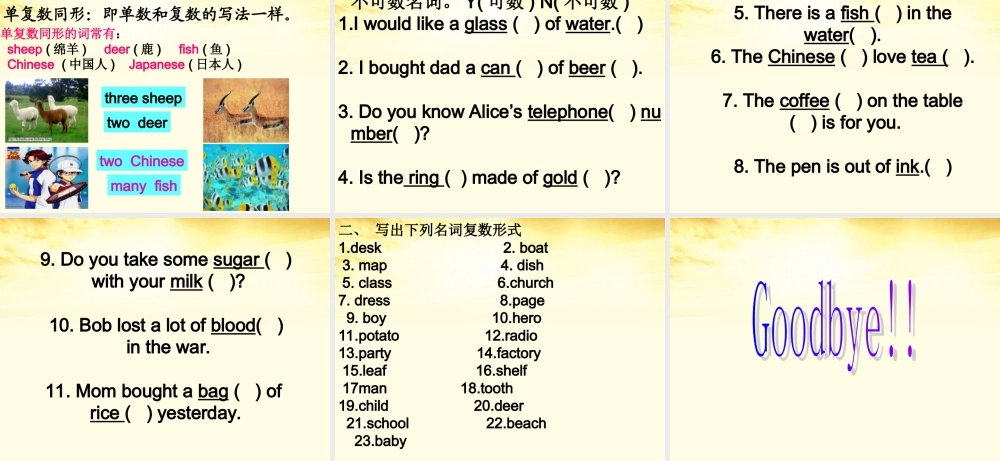 六年级英语下册 期末复习 名词课件 人教PEP