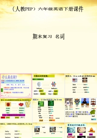 六年级英语下册 期末复习 名词课件 人教PEP