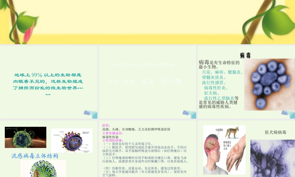 六年级科学上册 病毒课件3 青岛版-青岛版小学六年级上册自然科学课件
