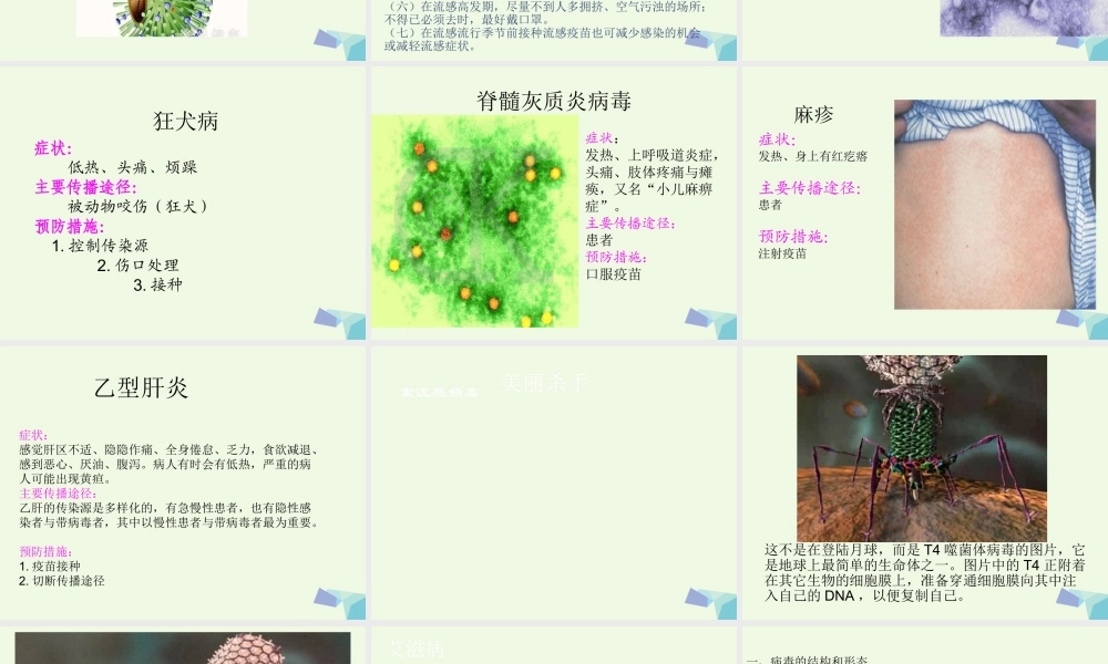 六年级科学上册 病毒课件3 青岛版-青岛版小学六年级上册自然科学课件