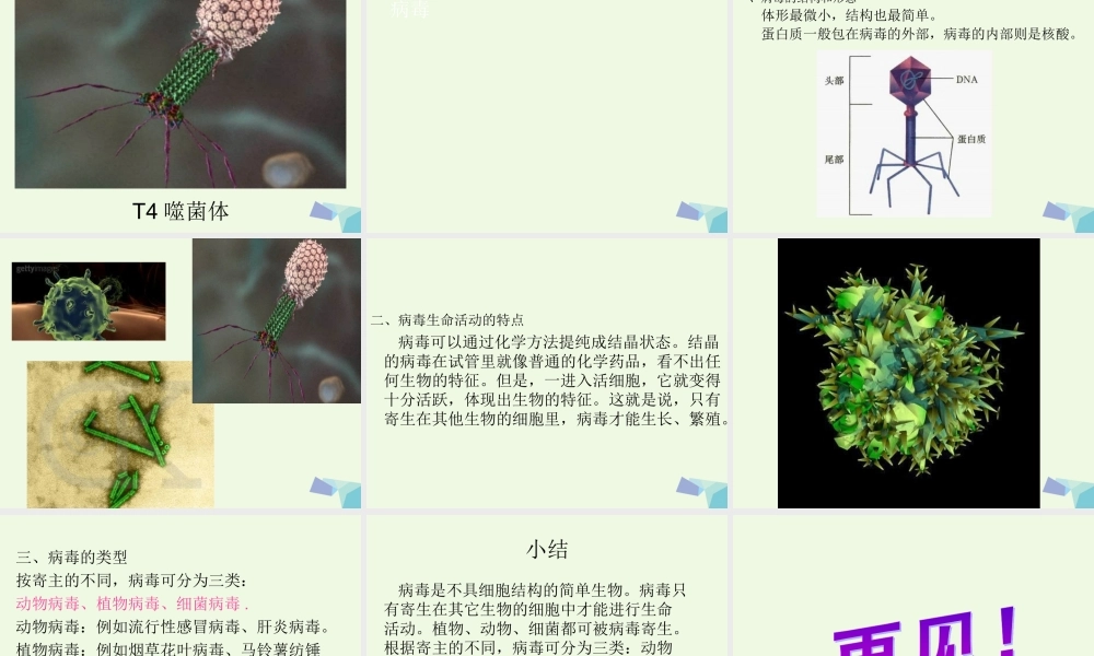 六年级科学上册 病毒课件3 青岛版-青岛版小学六年级上册自然科学课件