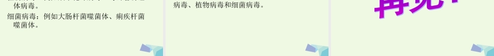 六年级科学上册 病毒课件3 青岛版-青岛版小学六年级上册自然科学课件