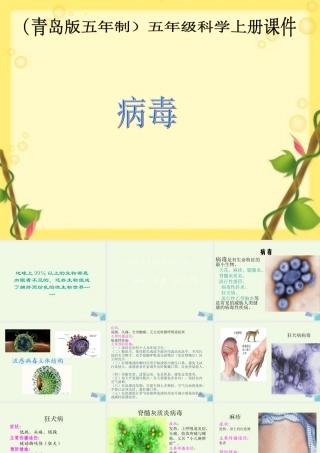 六年级科学上册 病毒课件3 青岛版-青岛版小学六年级上册自然科学课件