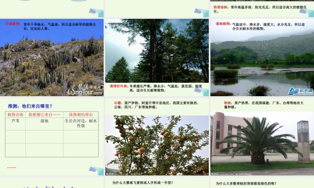 六年级科学上册 1.2 从南橘北枳说起课件2 湘教版-湘教版小学六年级上册自然科学课件