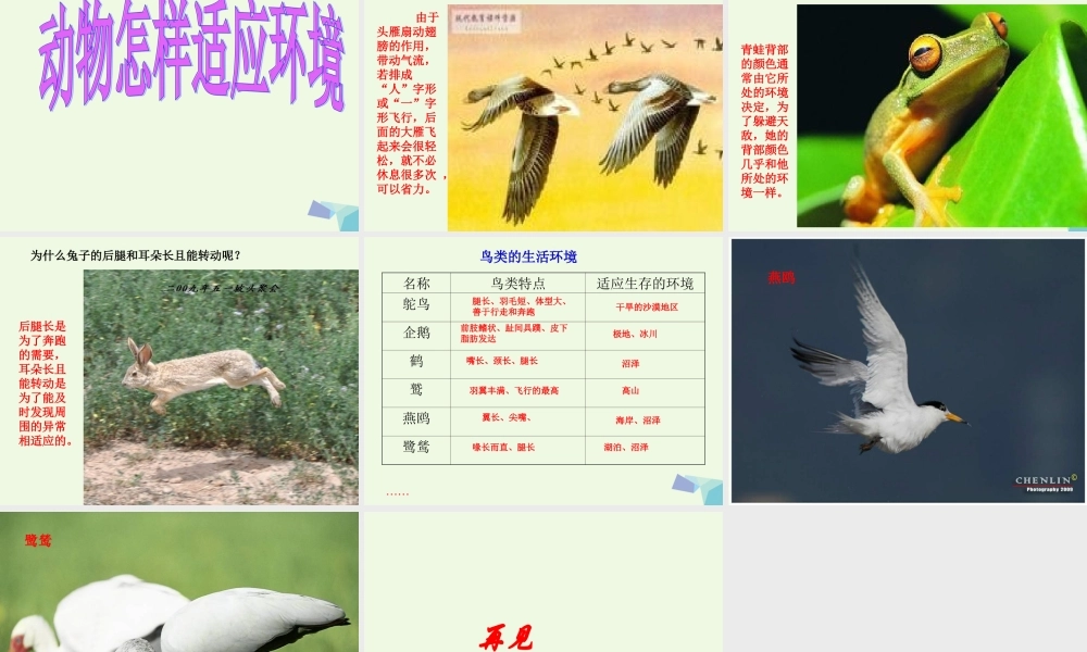 六年级科学上册 1.2 从南橘北枳说起课件2 湘教版-湘教版小学六年级上册自然科学课件