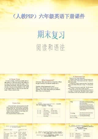 六年级英语下册 期末复习 阅读和语法 1课件 人教PEP